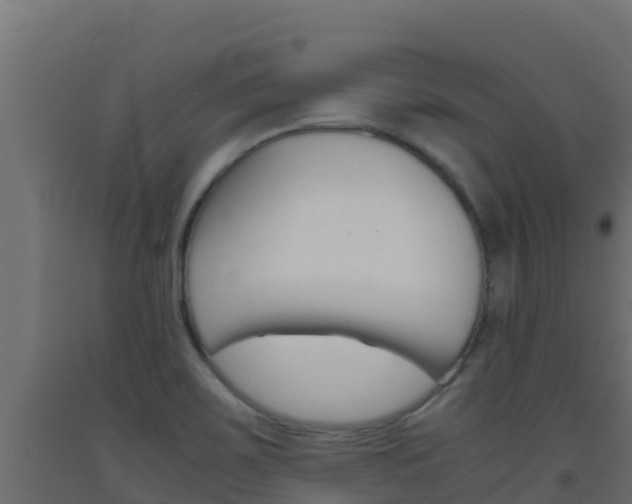 X0000093511467200710121053