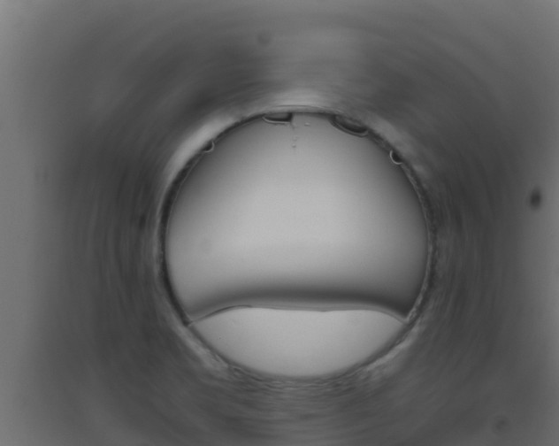 X0000093511469200710121053