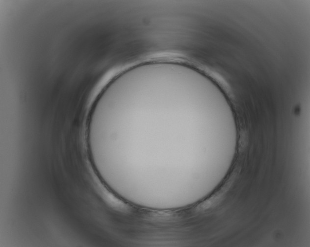 X0000093511470200710121053