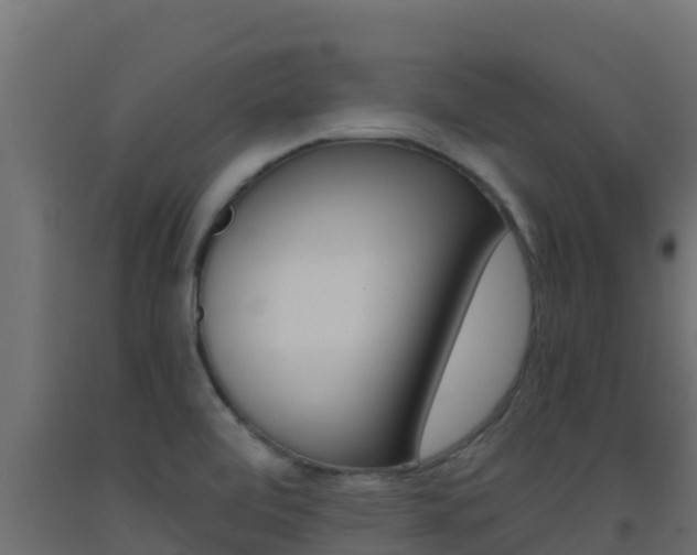 X0000093511472200710121053