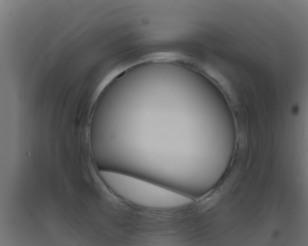 X0000093511473200710121053