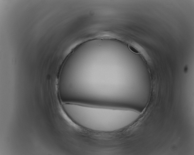 X0000093511476200710121053