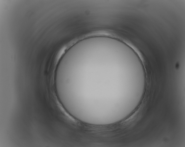 X0000093511477200710121053