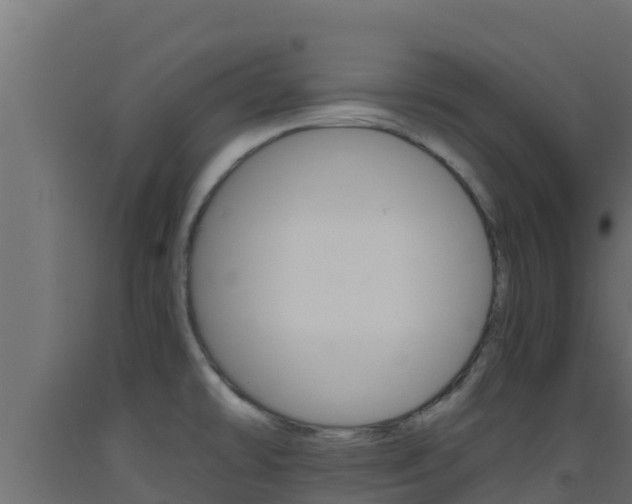 X0000093511478200710121053