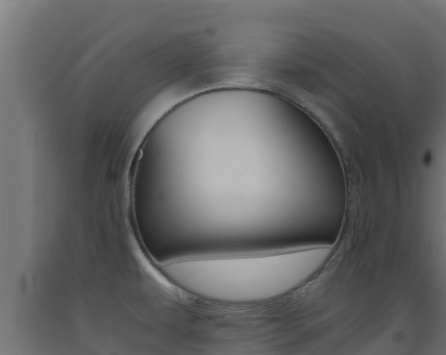 X0000093511479200710121053