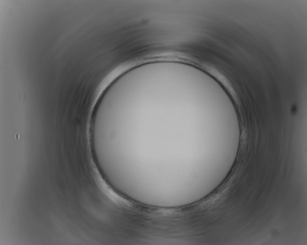X0000093511482200710121053