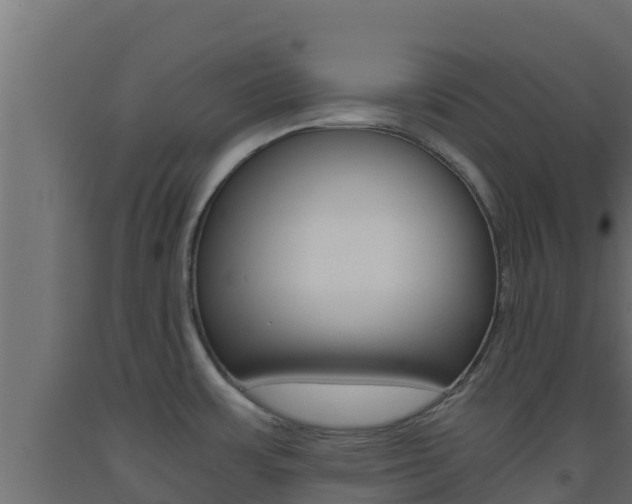 X0000093511483200710121053