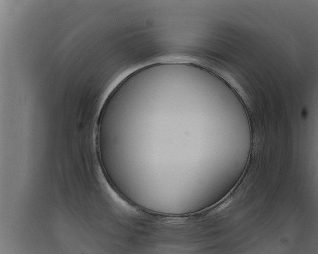X0000093511484200710121053