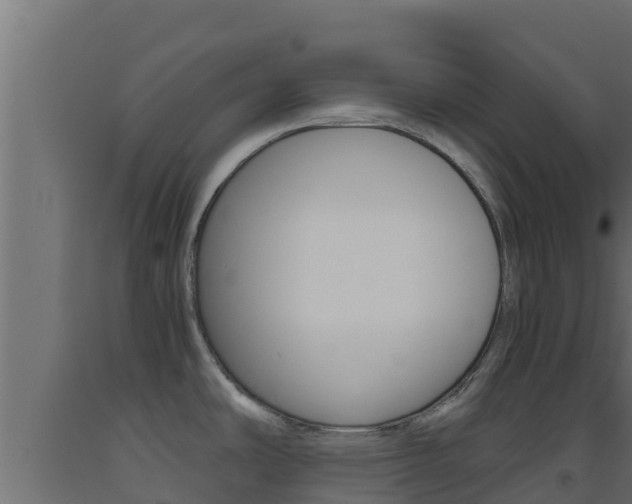 X0000093511486200710121053