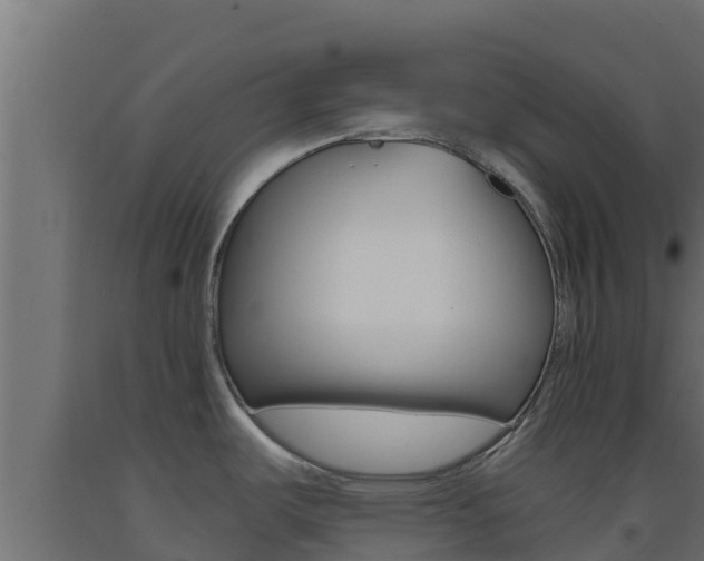 X0000093511487200710121053