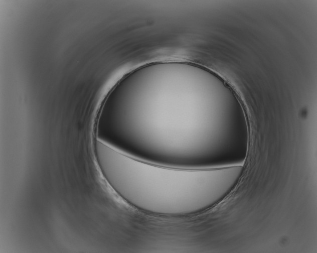 X0000093511488200710121053