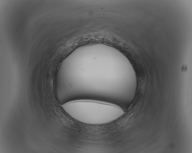 X0000093511489200710121052
