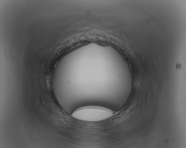 X0000093511490200710121052