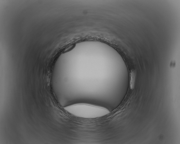 X0000093511491200710121052