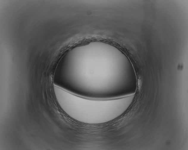 X0000093511492200710121052