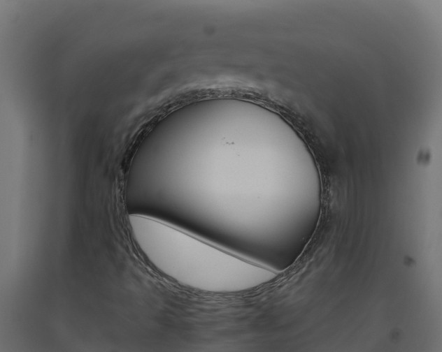 X0000093511493200710121052