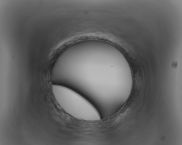 X0000093511494200710121053