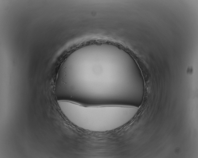 X0000093511495200710121053