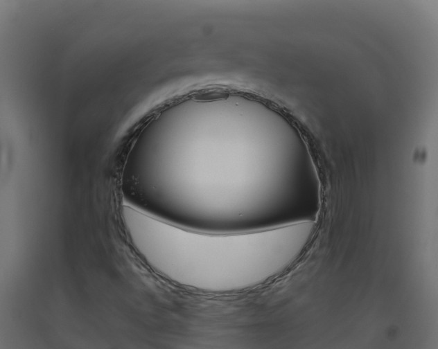 X0000093511496200710121053