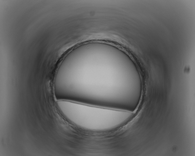 X0000093511497200710121053