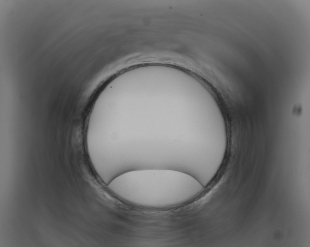 X0000093511498200710121053