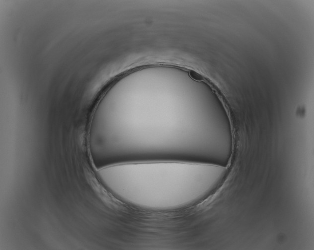 X0000093511499200710121053