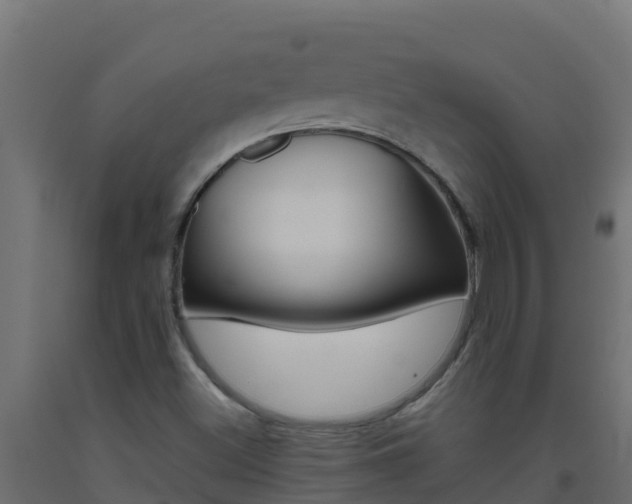 X0000093511500200710121053