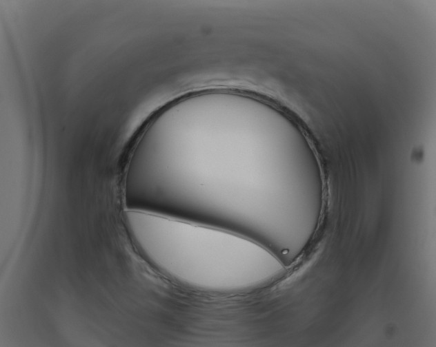 X0000093511501200710121053