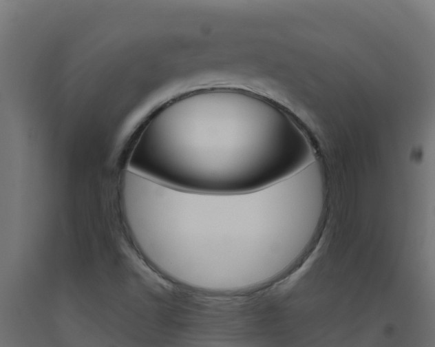 X0000093511502200710121053