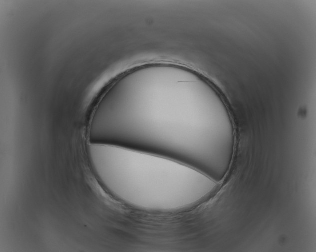 X0000093511503200710121053