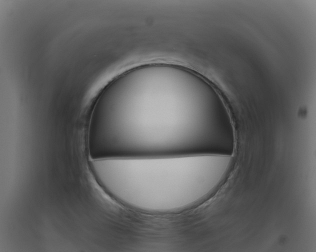 X0000093511504200710121053