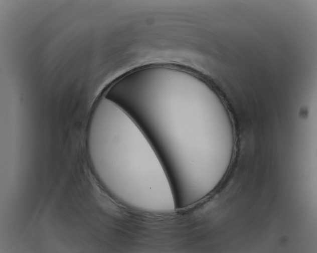 X0000093511505200710121053