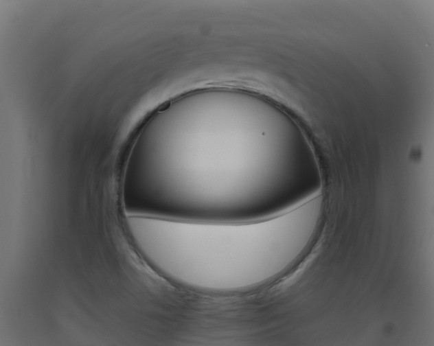 X0000093511506200710121053