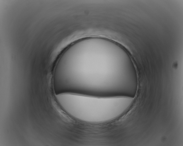 X0000093511507200710121053