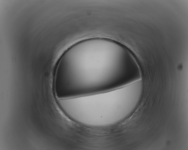 X0000093511508200710121053