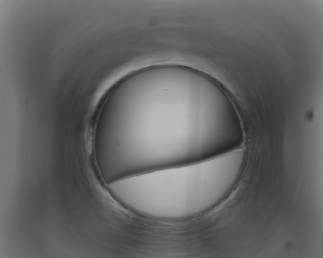 X0000093511510200710121053