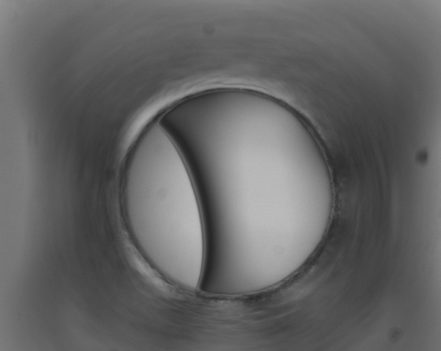 X0000093511511200710121053