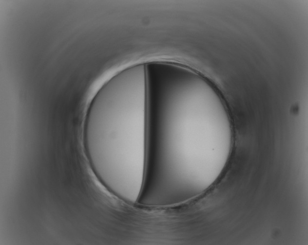 X0000093511512200710121053