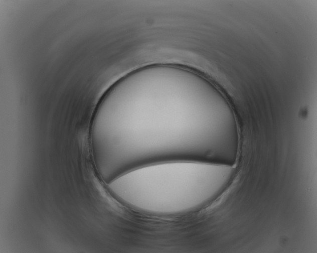 X0000093511513200710121053