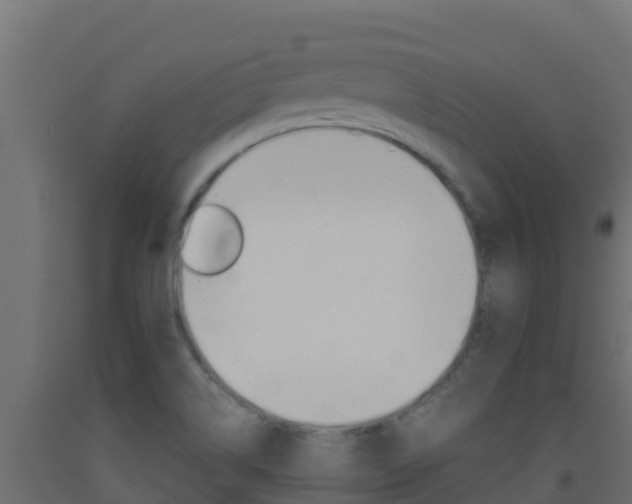 X0000093511514200710121053