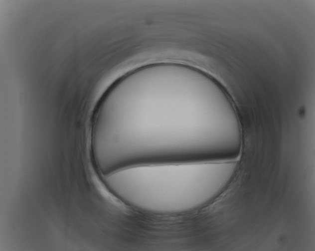 X0000093511515200710121053