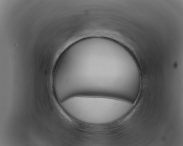X0000093511517200710121053