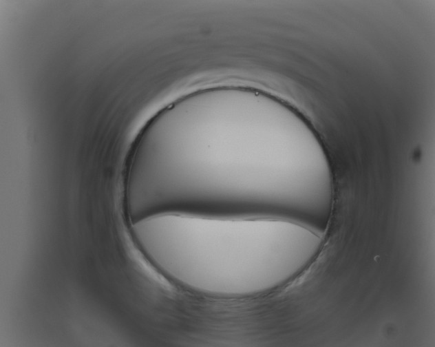 X0000093511518200710121053
