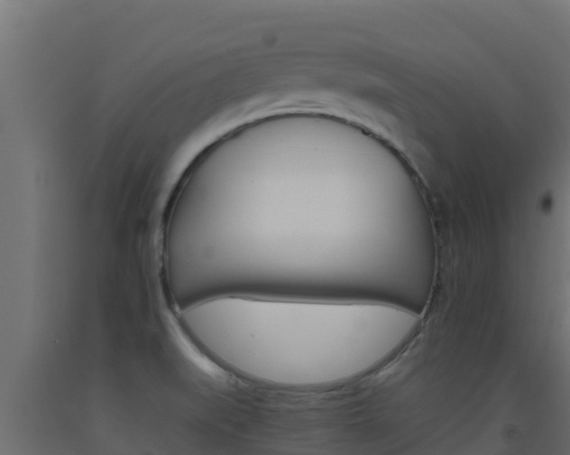 X0000093511519200710121053