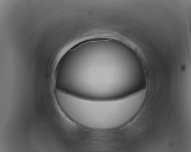 X0000093511520200710121053