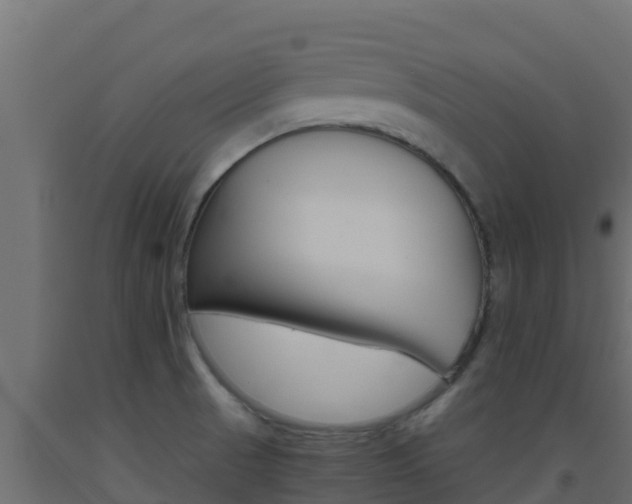X0000093511521200710121053