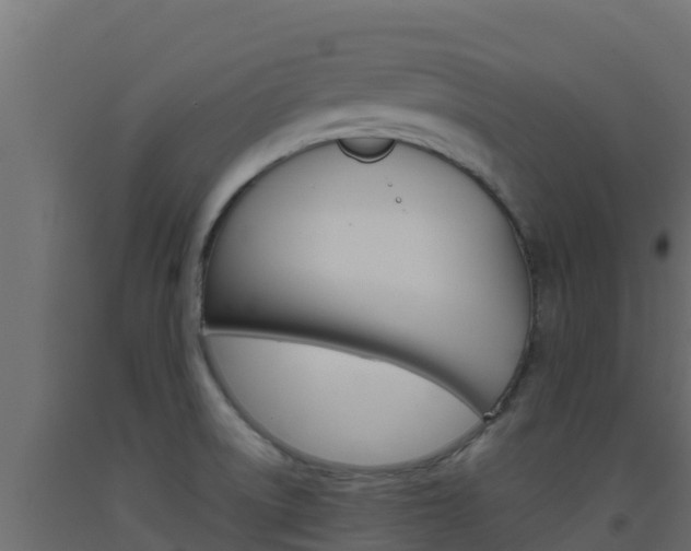 X0000093511522200710121053
