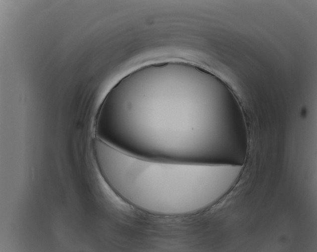 X0000093511524200710121053