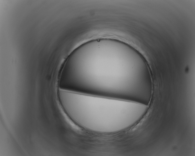 X0000093511525200710121053