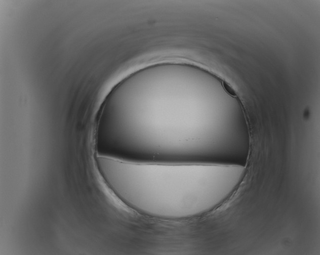 X0000093511526200710121053